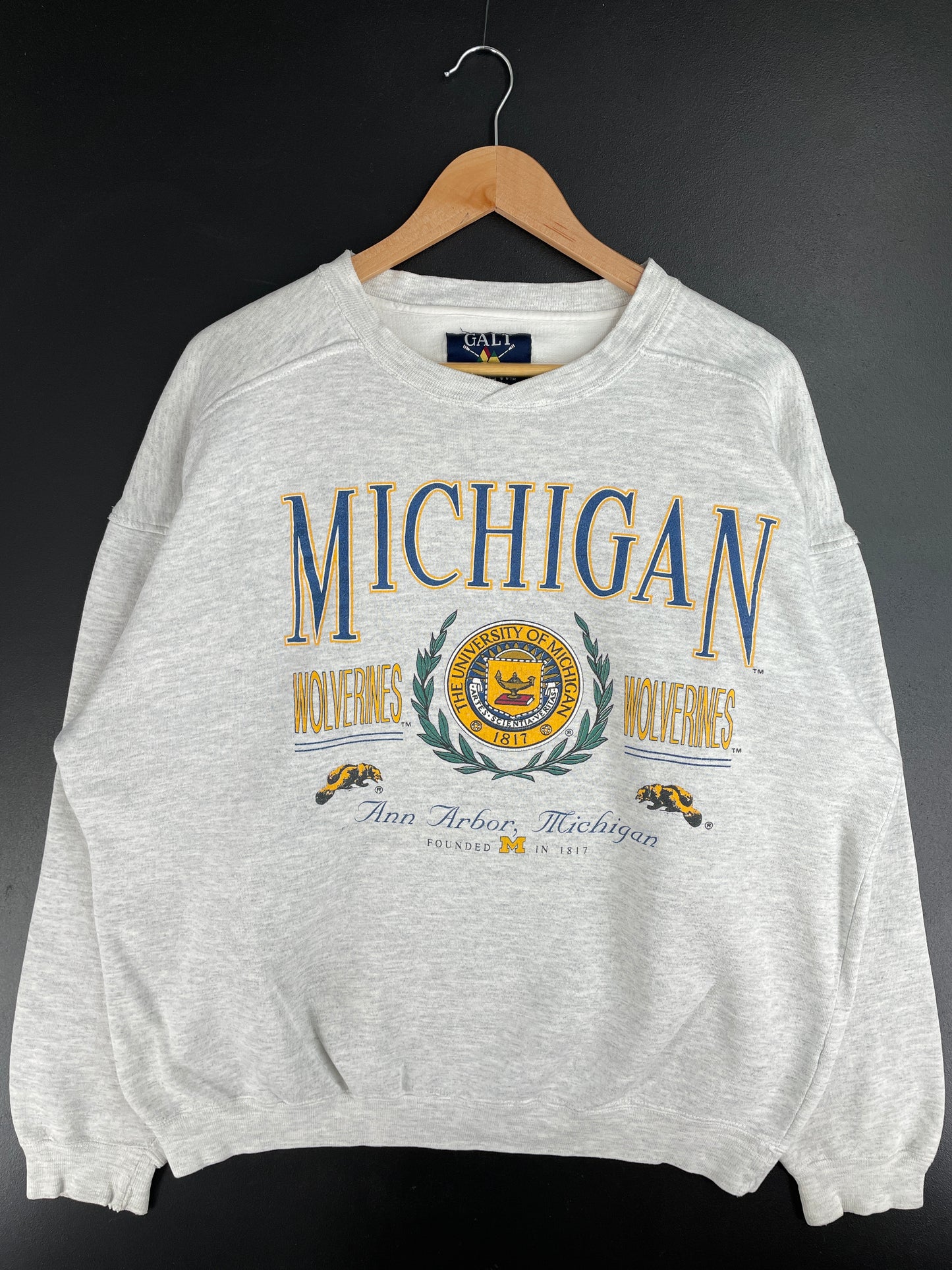 00' MICHIGAN STATE Size L Vintage College Sweat-shirt / E2810S