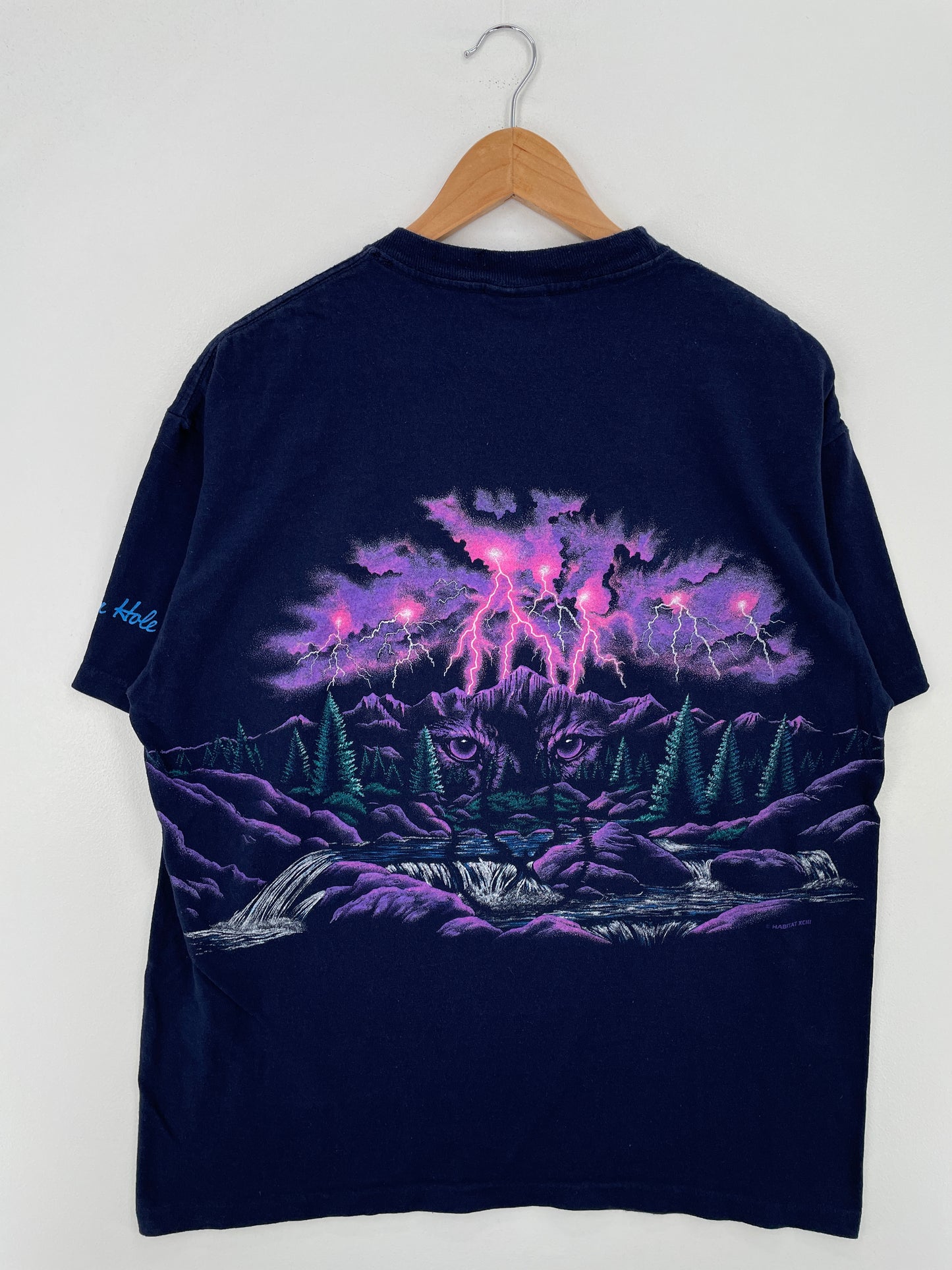 90's JACKSON HOLE Made in USA Size L Vintage T-Shirt / A7708