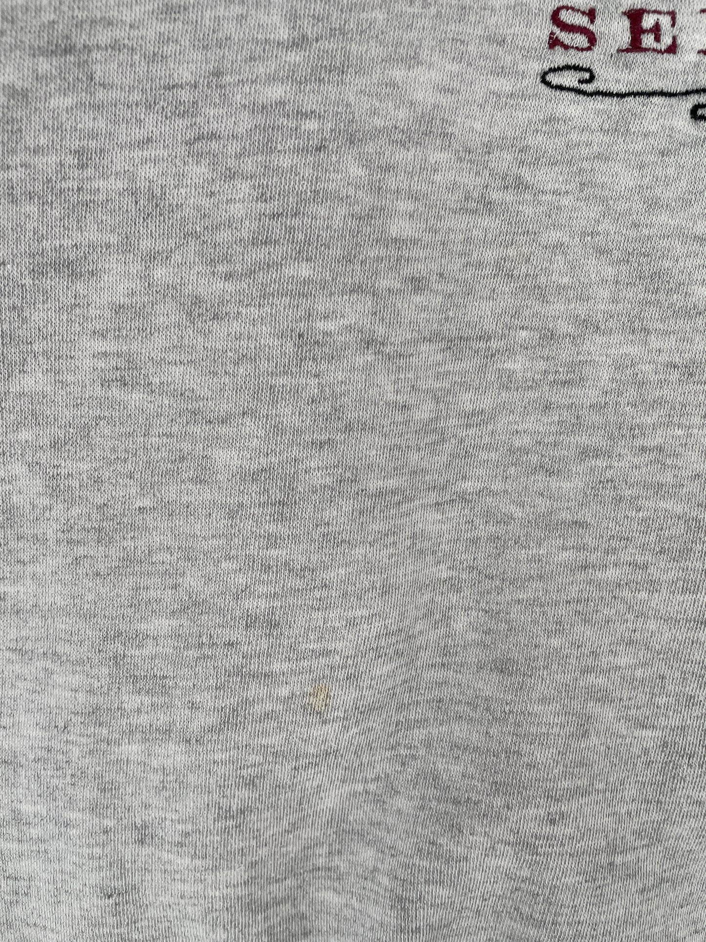 90's FLORIDA STATE SEMINOLES Size L Vintage College Sweat-Shirt / E6242S