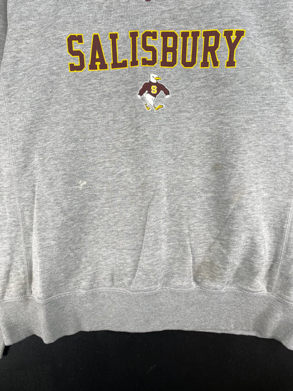Vintage NIKE x SALISBURY Size XL College Sweat-shirt / E2553S