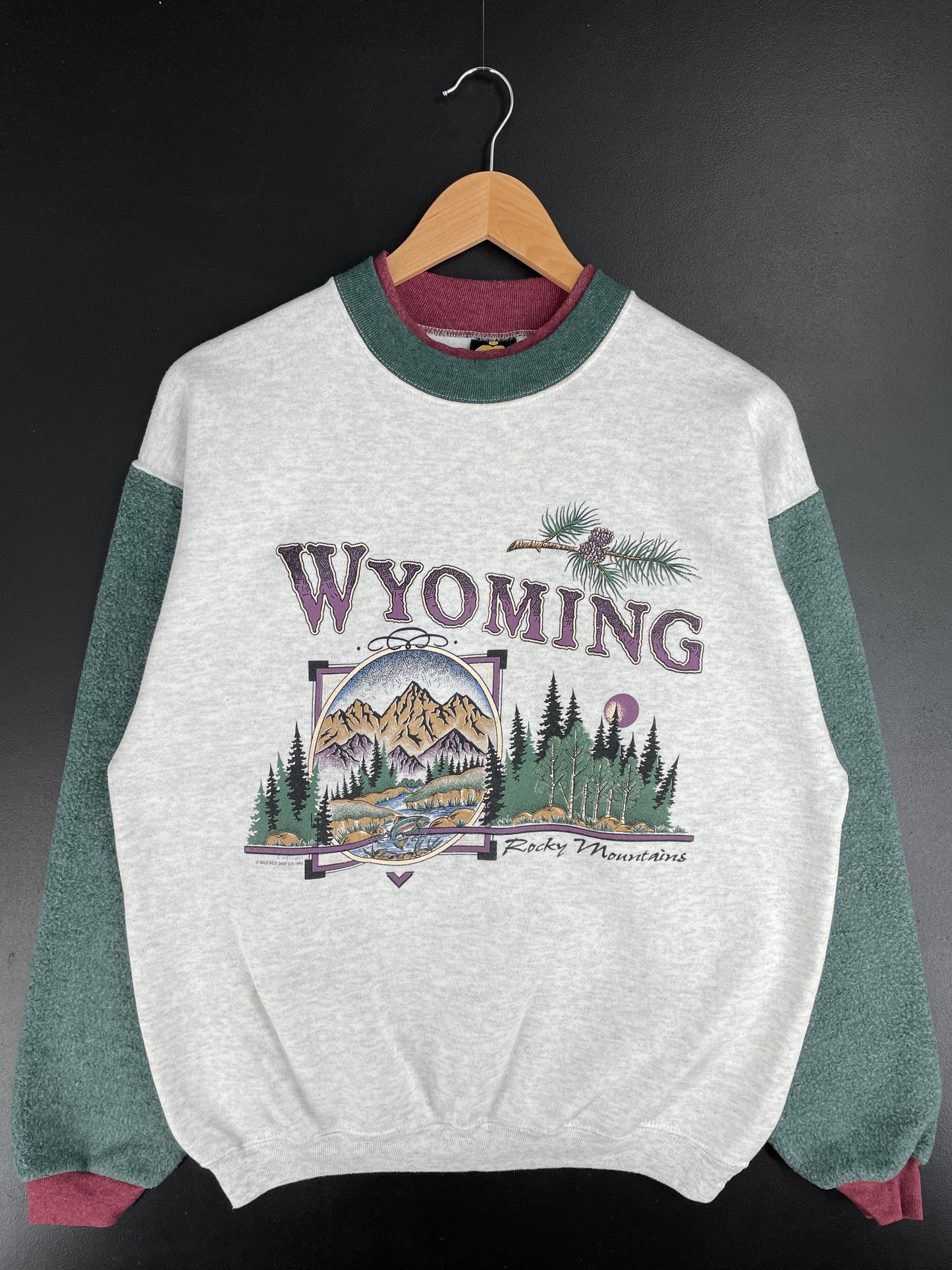 1995 WYOMING Made in USA Size M Sweat-Shirt / E3022S