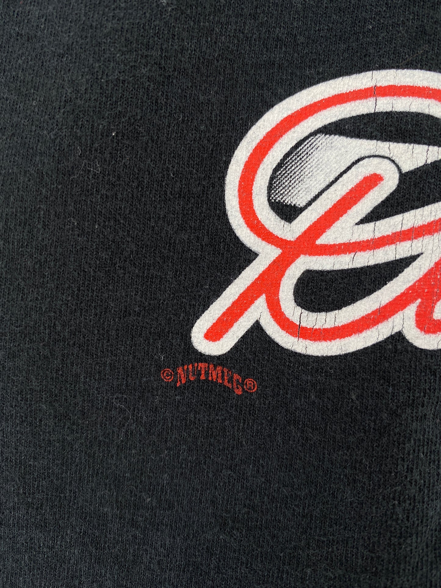 00' DALE EARNHARDT Size L Racing T-Shirt / A3754