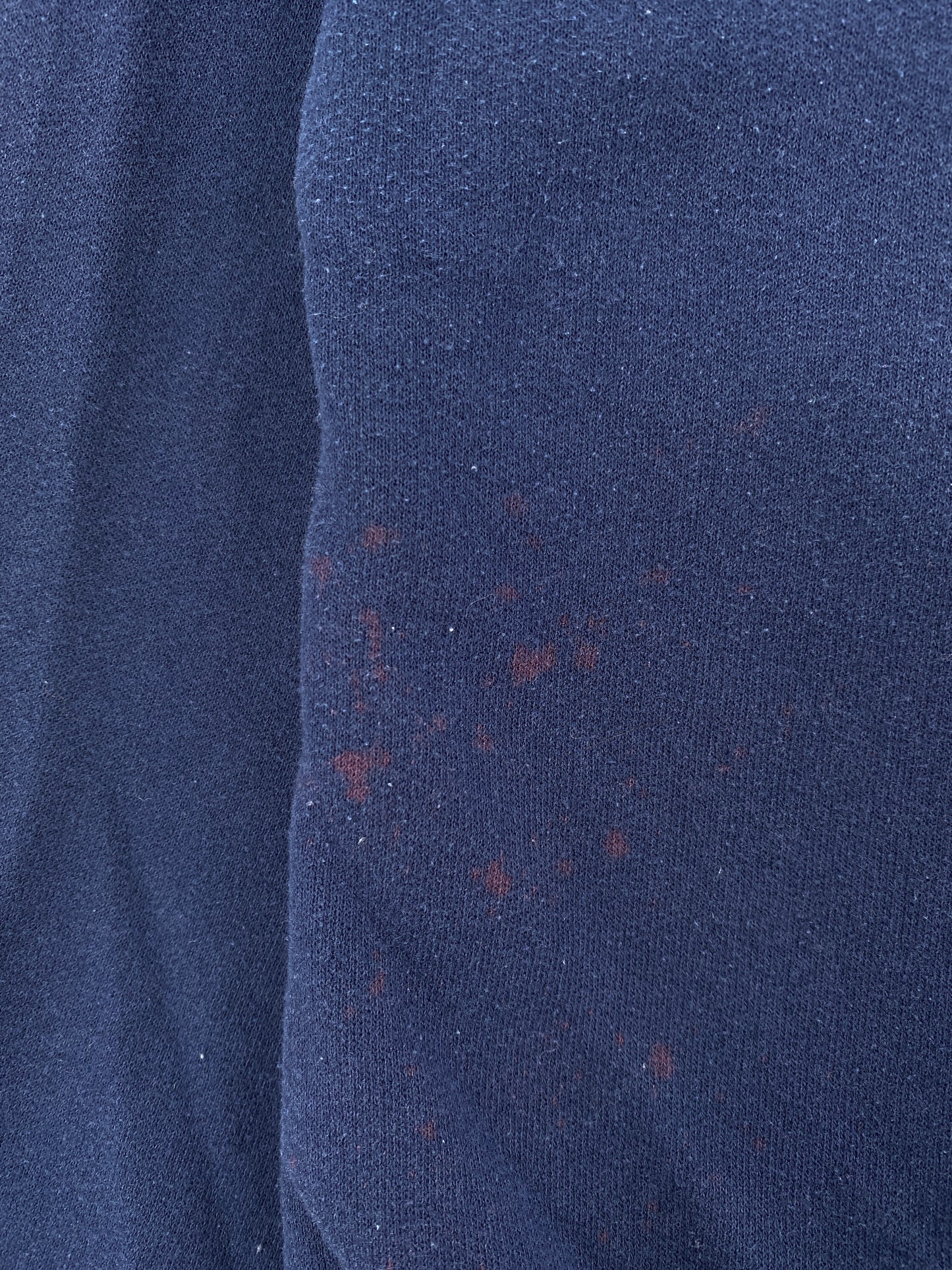 2003 JELLYSTONE PARK Size M Vintage Sweat-Shirt / E3702S