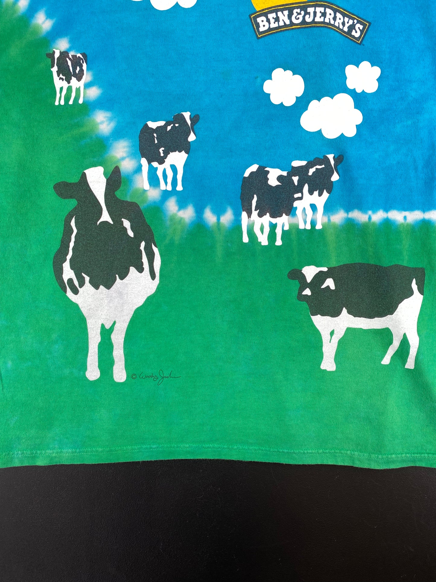 90’s LIQUID BLUE x BEN & JERRY'S Size XL Vintage T-Shirt / A1918