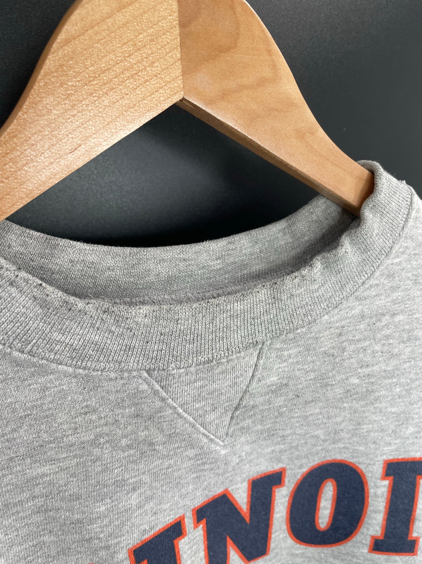 00' NIKE ILLINOIS Size L Vintage College Sweat shirt / K7967