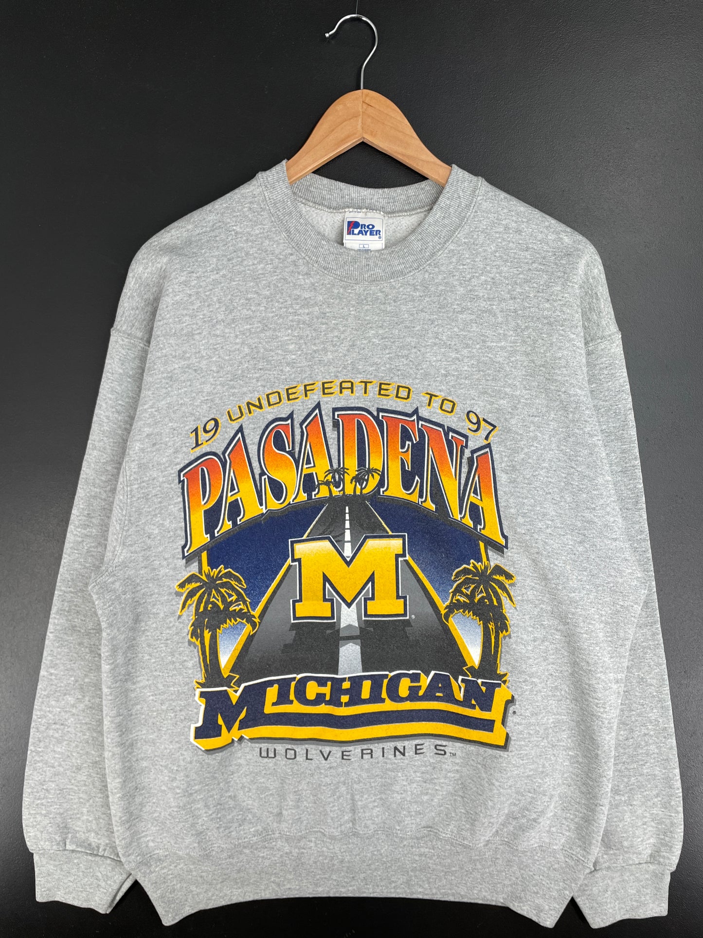1997 MICHIGAN WOLVERINES Made in USA Size L Vintage College Sweat-Shirt / E1562S
