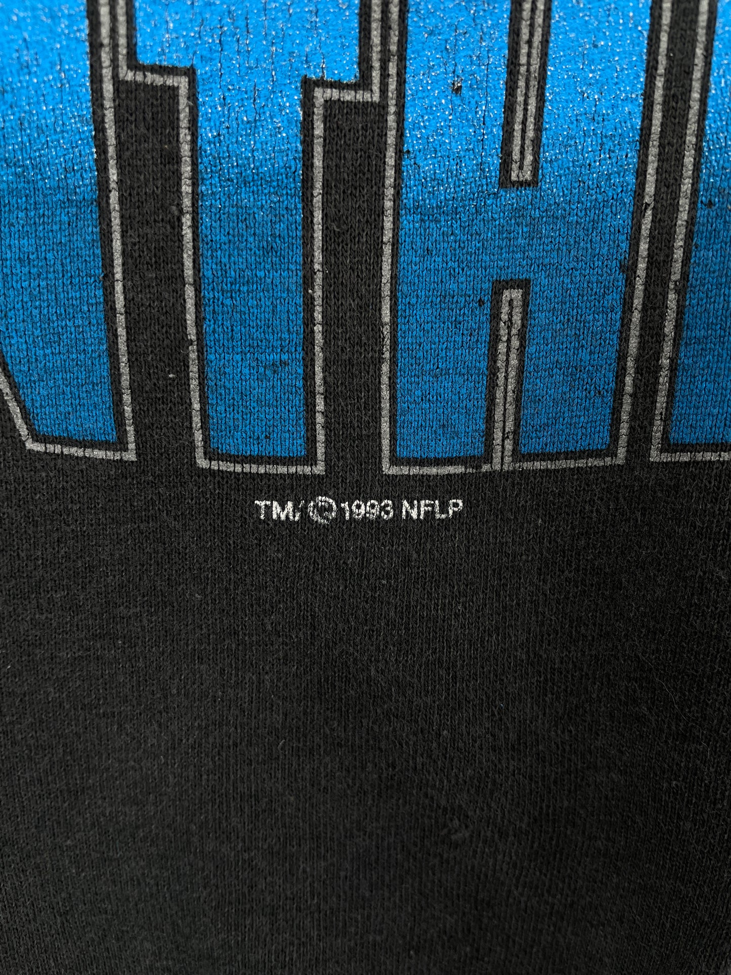 1993 STARTER x CAROLINA PANTHERS Size L Vintage NFL Sweat-Shirt / E5661S