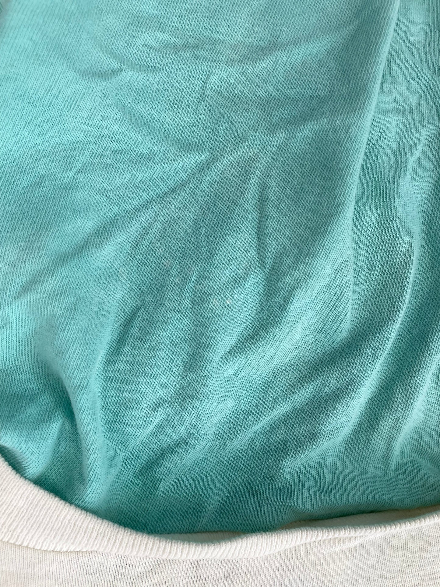 90's MIAMI DOLPHINS Made in USA Size L Vintage NFL Hoodie T-Shirt / E2749T