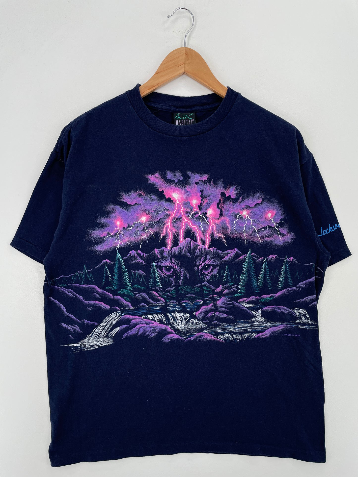 90's JACKSON HOLE Made in USA Size L Vintage T-Shirt / A7708