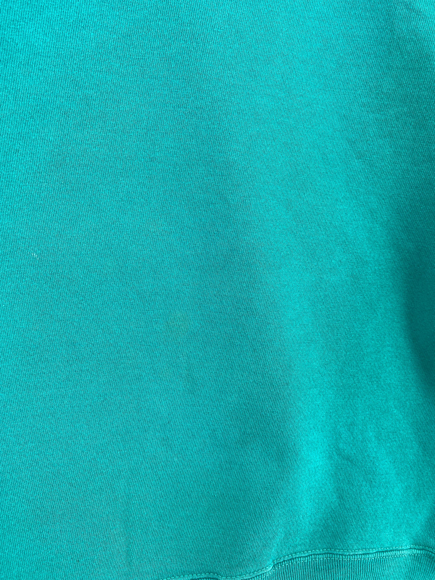 90's CHAMPION Made in USA Size L Vintage Sweat-shirt / E261