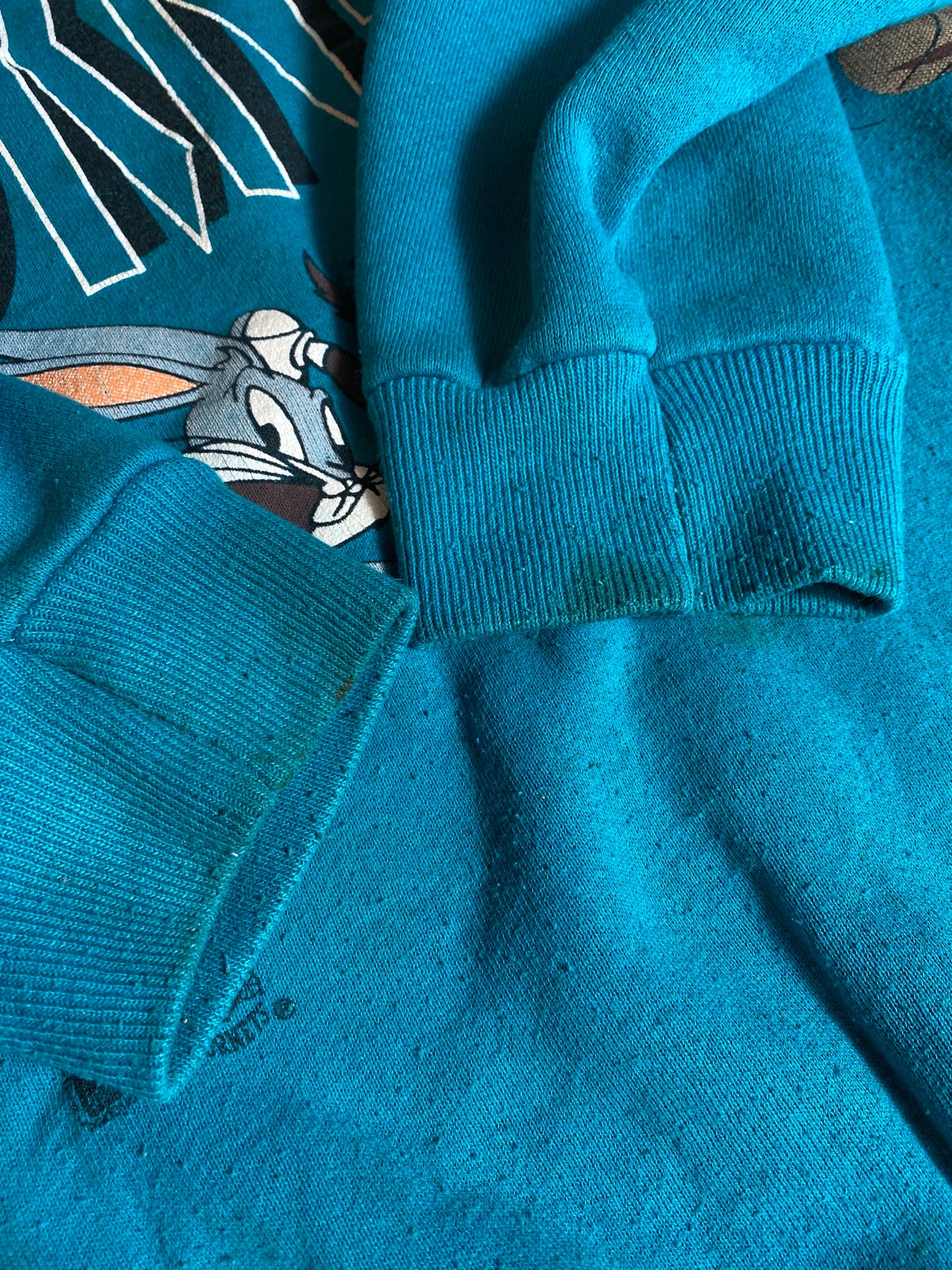 1993' NORTH CAROLINA CHARLOTTE HORNETS Made in USA Size XL Vintage NBA Sweat-shirt / K6153