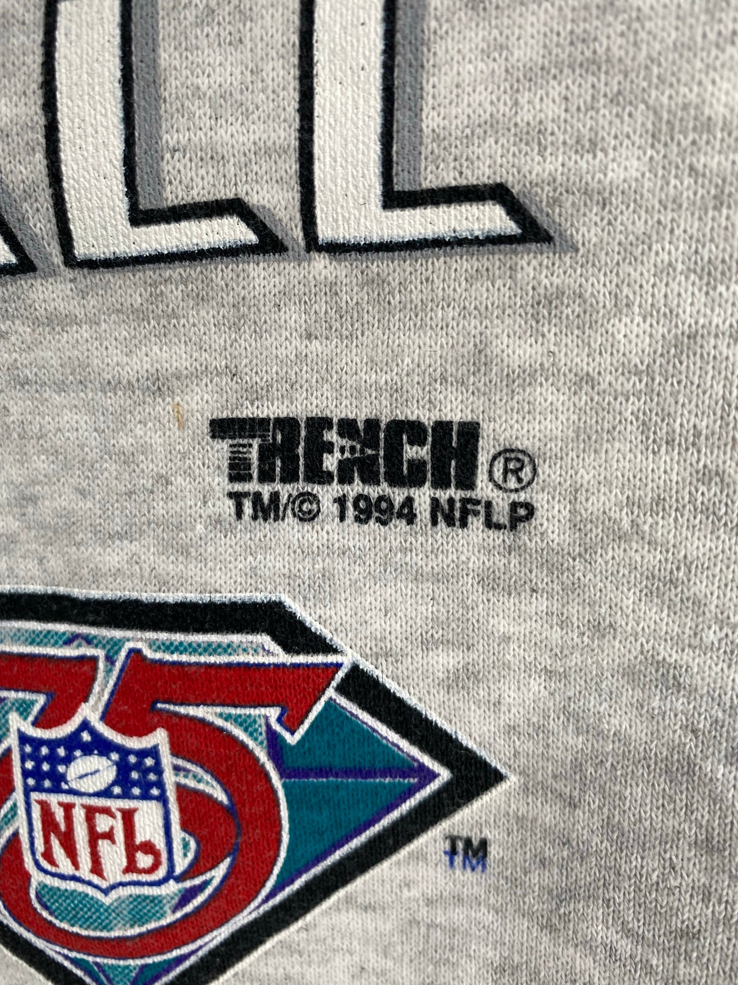 1994 CAROLINA PANTHERS Size XL Vintage  NFL Sweat-Shirt / K4149